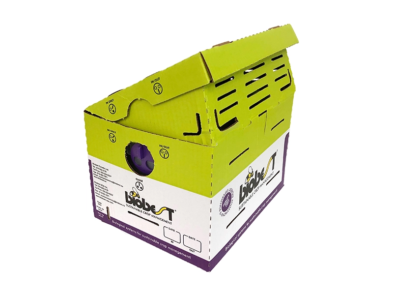 Biobest hive